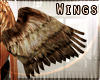 !E Hawk Custom Wings