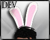 Bunny Ears