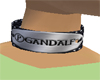 Gand Protection Collar