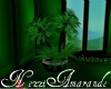 Green Magick Plant #1