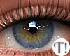 T! Beauty Eyes 10