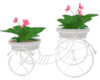Flower Buggie Cart
