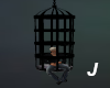 J~Castle Hanging Cage