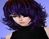 S! Nishino Blend