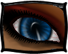 (FXD) Eyes Hallows Blue