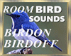 Room Bird Sound