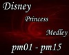 ~NVA~DisneyPrincessMedle