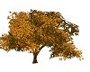 ~CB Fall Tree 2