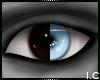 IC| Foresight 2Uni