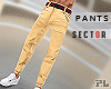 [PL] Pants x SeCtor II