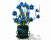 Potted Flowers