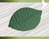 Leaf Baby Mat 04