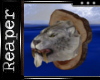 [RD]Saber Tooth Cat Head