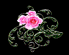 Scroll Roses