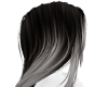 Black and White Hair