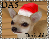 (A) Holiday Chihuahua