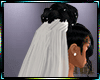 Wedding Veil