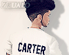 Zk|Pyrex 69|Carter