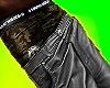 CH Stone Island Pants
