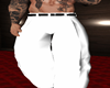 Stable Pants