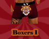 A/V - Boxers 1