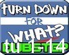turn down for what remix