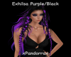 Exhilsa Purple/Black