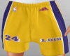 Stem Lakers shorts