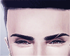 Adam Model Head ▲