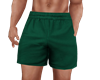 Gabe Shorts Green