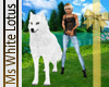 MSW White Wolf