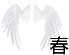 958Hip Wings臂翼