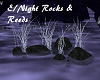 E/Night Rocks & Reeds