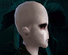Voldemort's Head
