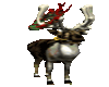 Reindeer fun(anim)