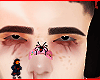Gisbert brows
