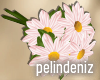 [P] Romantic daisy