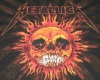 (SMR) Metallica Pic29
