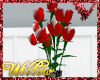 WF>Red/White roses