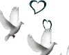 doves & hearts