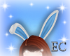 EC| My Easter Ears '22