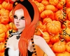 Pumpkin Dafna