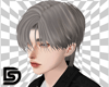 Zayne Hair 01