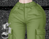 ✩ kimmy p cargos