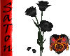 [SaT]Black roses