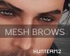 HMZ: Latino Brows #2