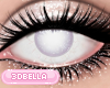 Porcelain Iris