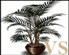 Willow Leaf