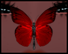 T|Red Butterfly