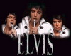 Animated Elvis 16